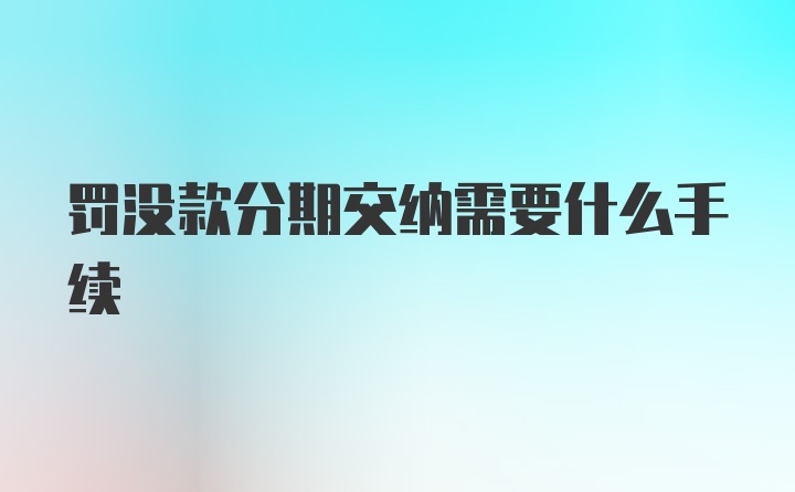 罚没款分期交纳需要什么手续