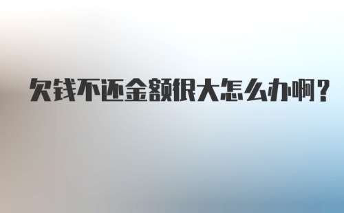 欠钱不还金额很大怎么办啊?