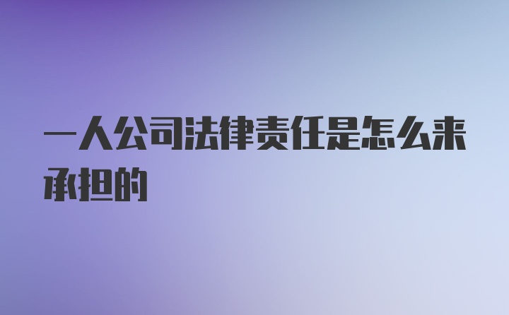 一人公司法律责任是怎么来承担的