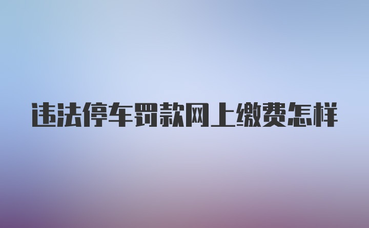 违法停车罚款网上缴费怎样