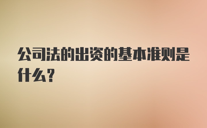 公司法的出资的基本准则是什么？