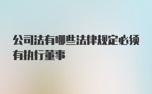 公司法有哪些法律规定必须有执行董事