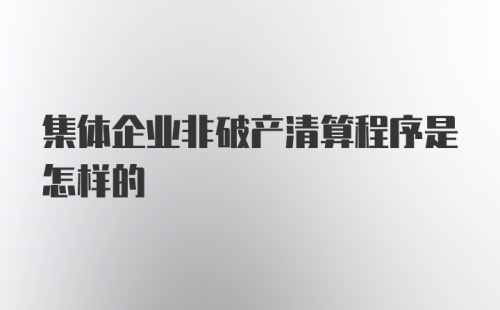 集体企业非破产清算程序是怎样的