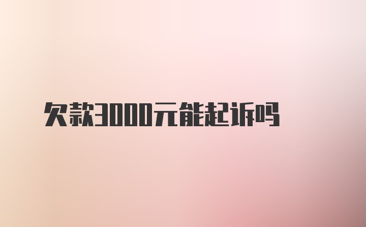 欠款3000元能起诉吗