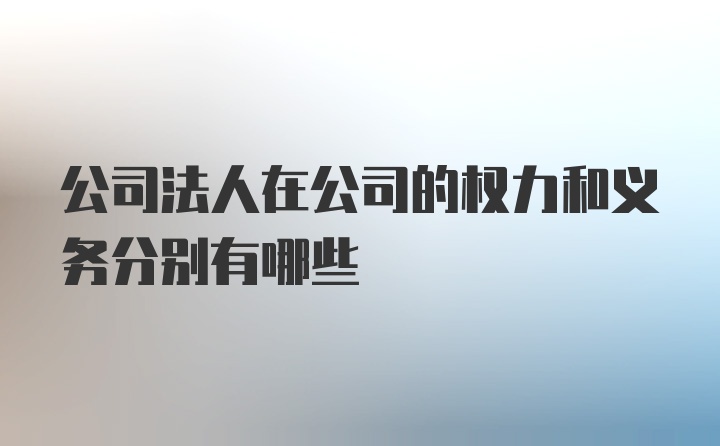 公司法人在公司的权力和义务分别有哪些