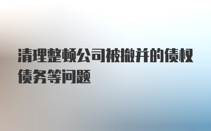 清理整顿公司被撤并的债权债务等问题