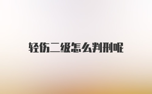 轻伤二级怎么判刑呢