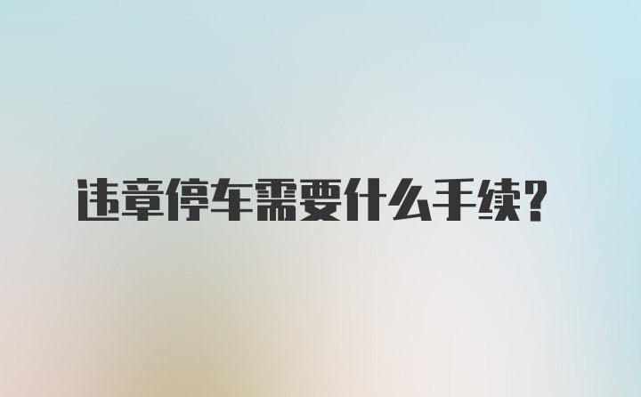 违章停车需要什么手续?