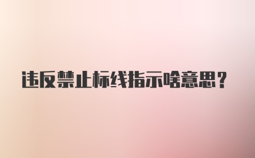 违反禁止标线指示啥意思？