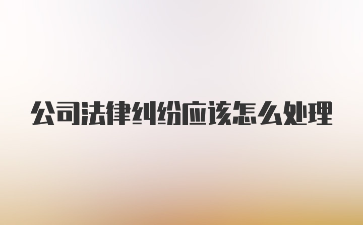 公司法律纠纷应该怎么处理