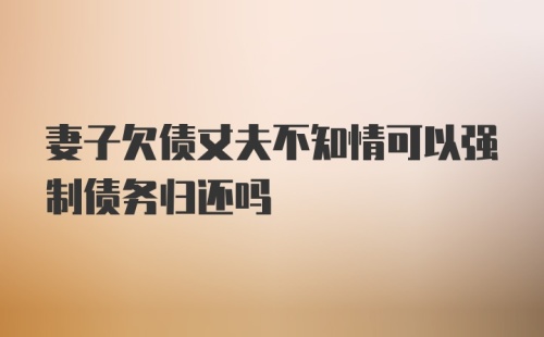 妻子欠债丈夫不知情可以强制债务归还吗