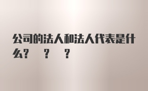 公司的法人和法人代表是什么? ? ?