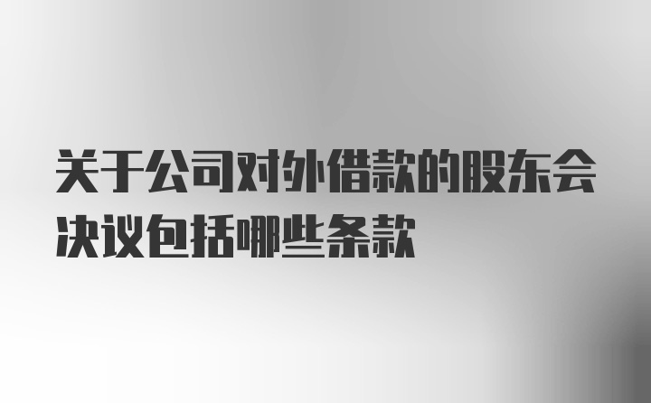 关于公司对外借款的股东会决议包括哪些条款