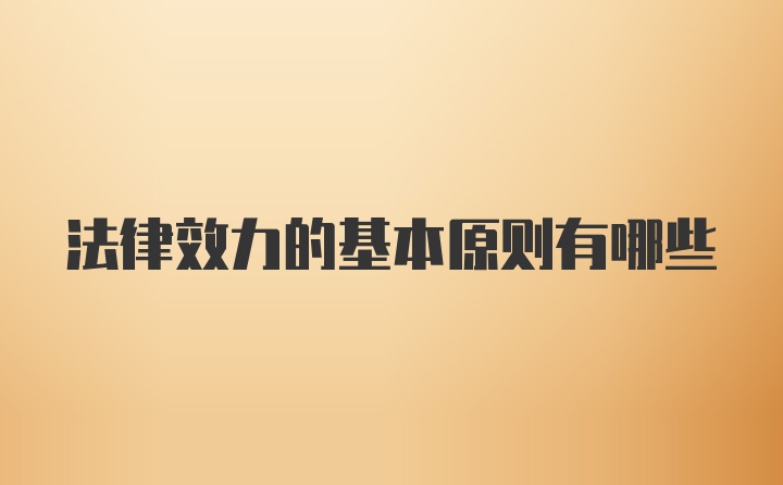 法律效力的基本原则有哪些