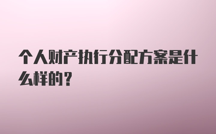 个人财产执行分配方案是什么样的？