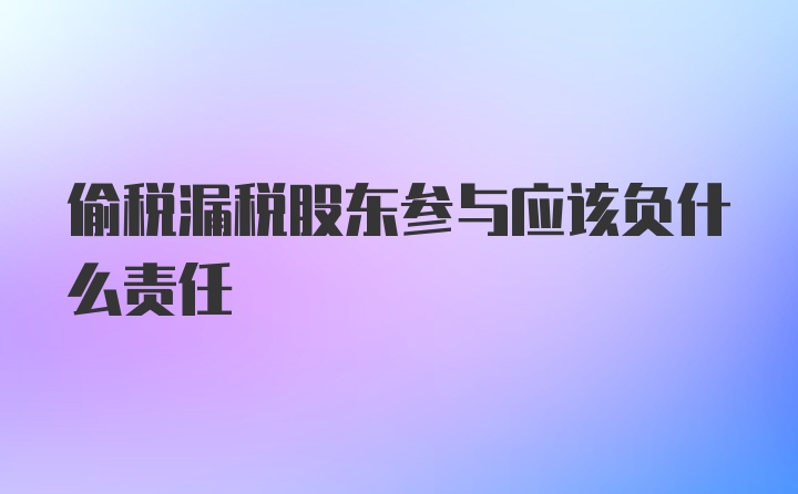 偷税漏税股东参与应该负什么责任