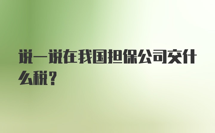 说一说在我国担保公司交什么税？