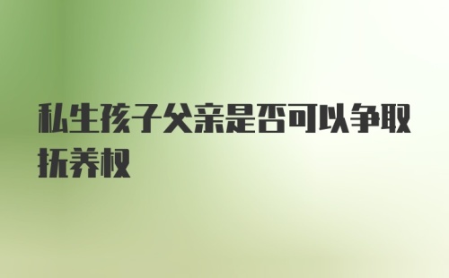 私生孩子父亲是否可以争取抚养权