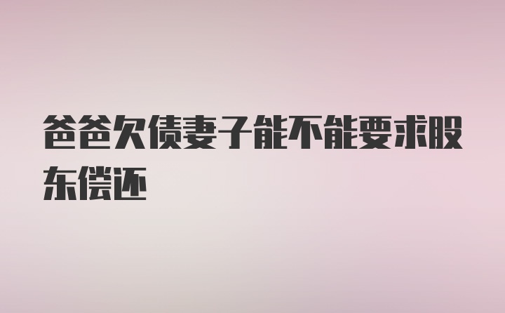 爸爸欠债妻子能不能要求股东偿还