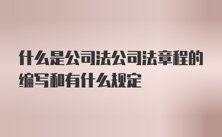 什么是公司法公司法章程的编写和有什么规定