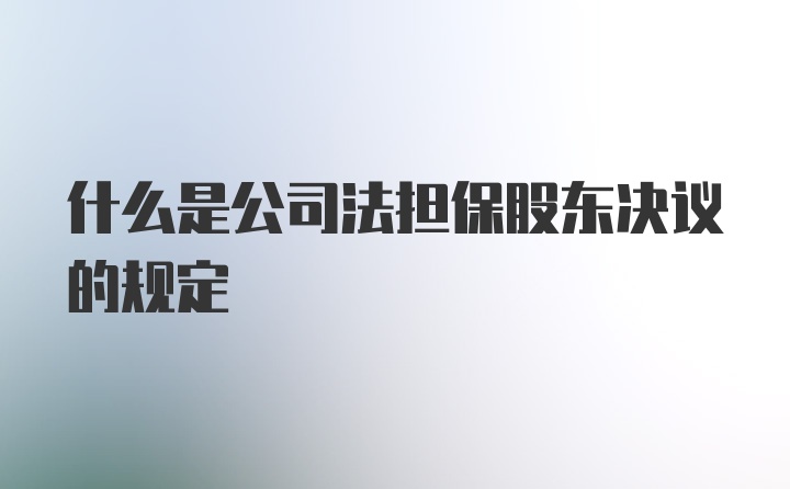 什么是公司法担保股东决议的规定