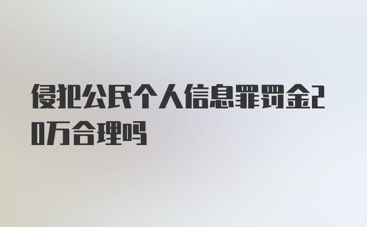 侵犯公民个人信息罪罚金20万合理吗