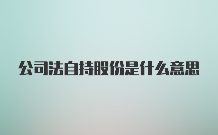 公司法自持股份是什么意思