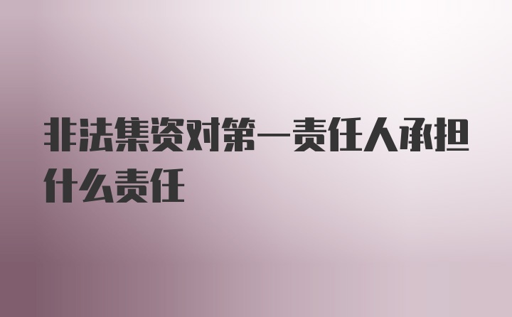 非法集资对第一责任人承担什么责任