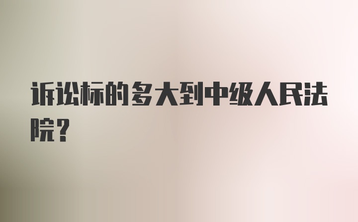 诉讼标的多大到中级人民法院?