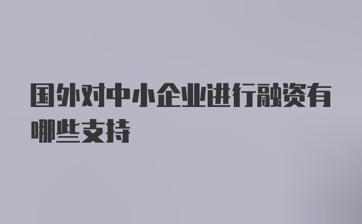 国外对中小企业进行融资有哪些支持