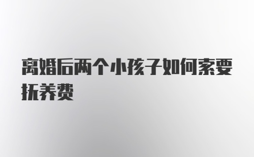 离婚后两个小孩子如何索要抚养费