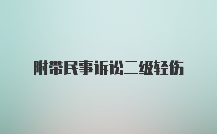 附带民事诉讼二级轻伤