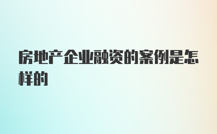 房地产企业融资的案例是怎样的