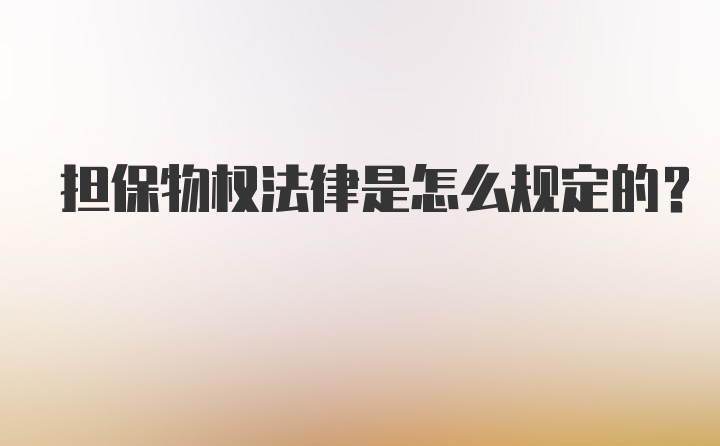 担保物权法律是怎么规定的？