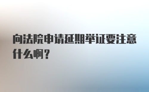 向法院申请延期举证要注意什么啊？