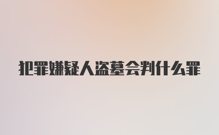 犯罪嫌疑人盗墓会判什么罪