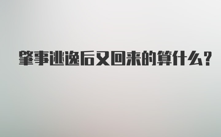 肇事逃逸后又回来的算什么?