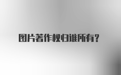 图片著作权归谁所有？