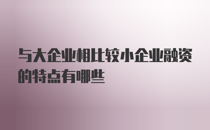 与大企业相比较小企业融资的特点有哪些