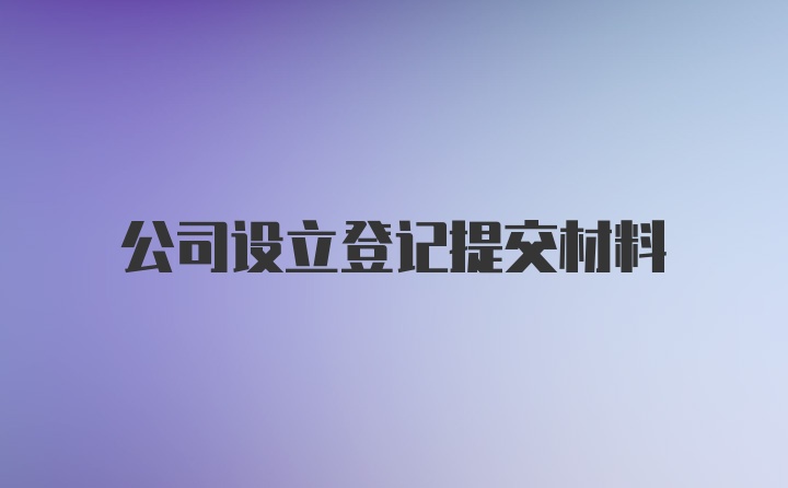 公司设立登记提交材料