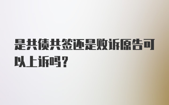 是共债共签还是败诉原告可以上诉吗？