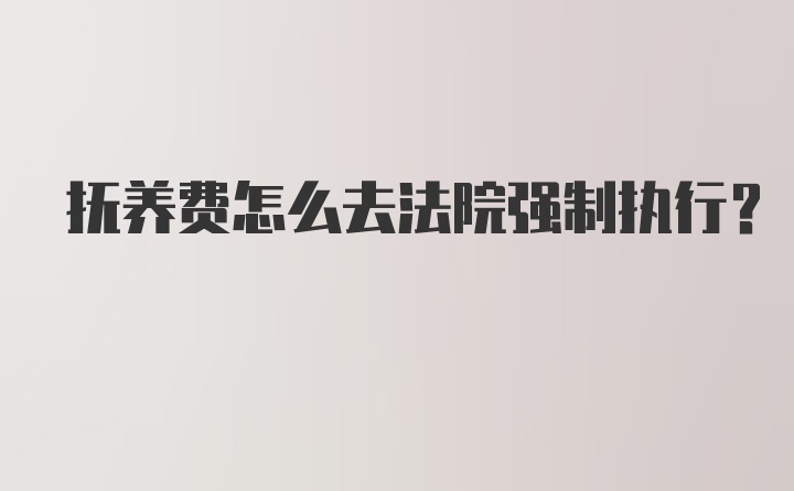 抚养费怎么去法院强制执行？