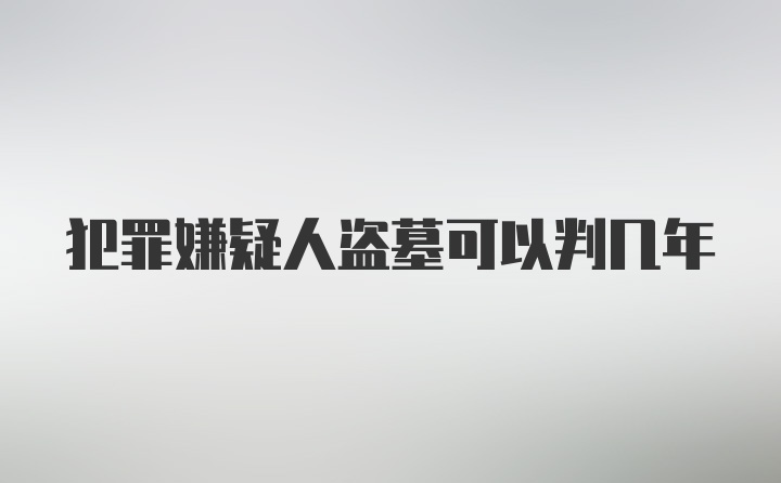 犯罪嫌疑人盗墓可以判几年