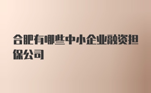 合肥有哪些中小企业融资担保公司