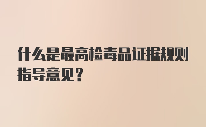 什么是最高检毒品证据规则指导意见？