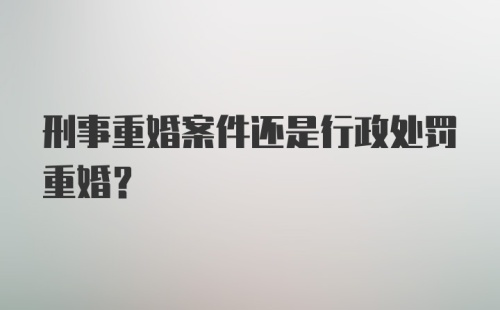 刑事重婚案件还是行政处罚重婚？