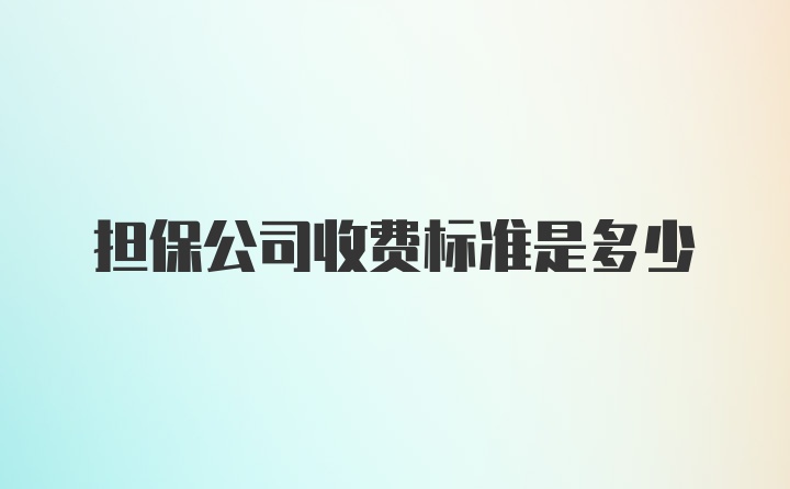 担保公司收费标准是多少