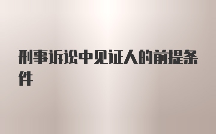 刑事诉讼中见证人的前提条件