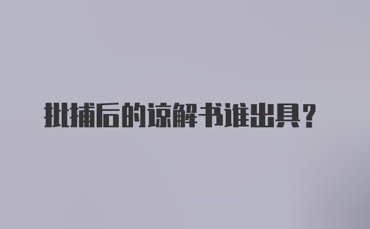 批捕后的谅解书谁出具？