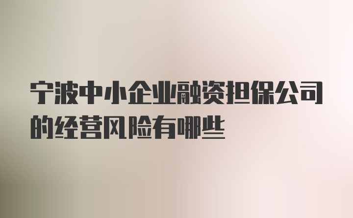 宁波中小企业融资担保公司的经营风险有哪些